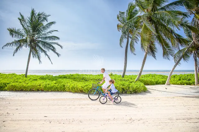 An adult and a child biking around the beach surrounded by Palm trees.